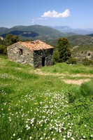 /album/sweet-et-sweety-se-marient-/bergerie-corsel-jpg1/