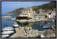 /album/sweet-et-sweety-se-marient-/centuri-port-corse-jpg1/