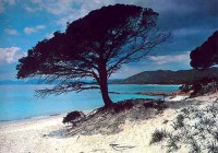 /album/sweet-et-sweety-se-marient-/corse-plagek-jpg1/