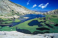 /album/sweet-et-sweety-se-marient-/lac-or10-jpg1/