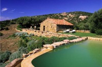 /album/sweet-et-sweety-se-marient-/murtoli-bergerie-et-piscine-jpg1/