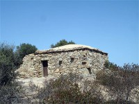 /album/sweet-et-sweety-se-marient-/pt32313-jpg1/