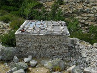 /album/sweet-et-sweety-se-marient-/pt50259-jpg1/